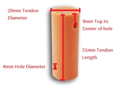 Streamlined Tendon